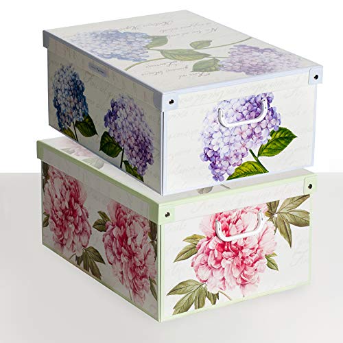 Kanguru Collection PEZZI Set DE 2 Cajas DE Almacenamiento, Paperboard, Color 5, Grande, 2