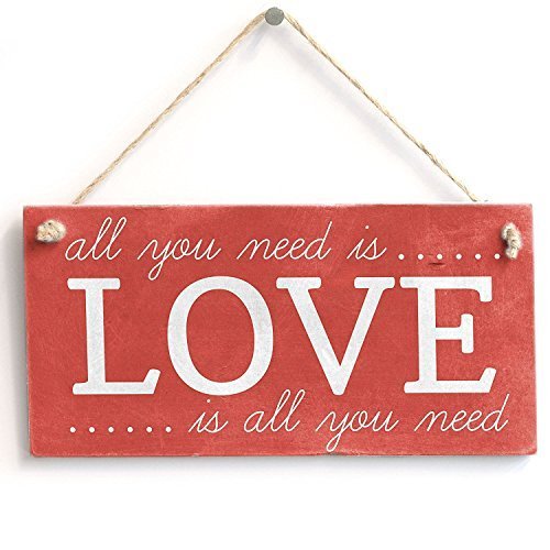 Letrero decorativo con texto en inglés "All You Need Is Love Is All You Need" (texto en inglés)