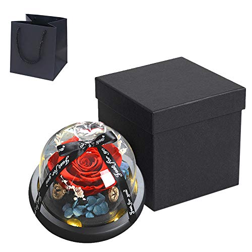 MOPOIN Enchanted Rose, Bella y La Bestia Rosa Eterna Con Caja De Regalo y Luces LED en Cúpula De Vidrio Regalo Para Día de San Valentín Día de la Madre de cumpleaños Boda Aniversario MOPOIN Enchanted Rose, Bella y La Bestia Rosa Eterna Con Caja De Regalo y Luces LED en Cúpula De Vidrio Regalo Para Día de San Valentín Día de la Madre de cumpleaños Boda Aniversario
