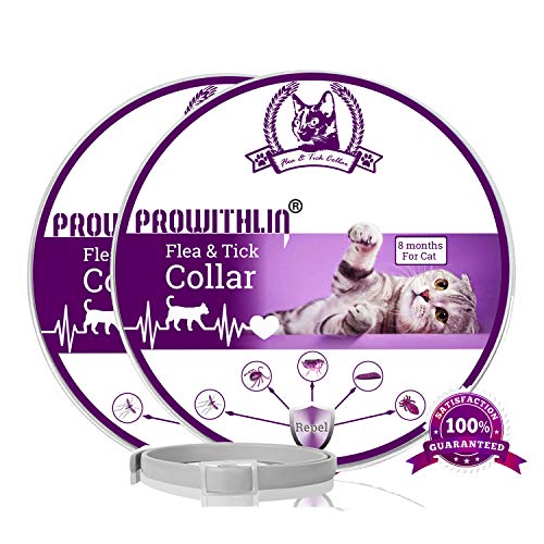 prowithlin Collar Antipulgas y Antigarrapatas para Gatos, Collar Impermeable Ajustable, Solución Natural contra Pestes para Gatos Jóvenes, 36 cm 8 Meses Talla Única para Todos los Gatos