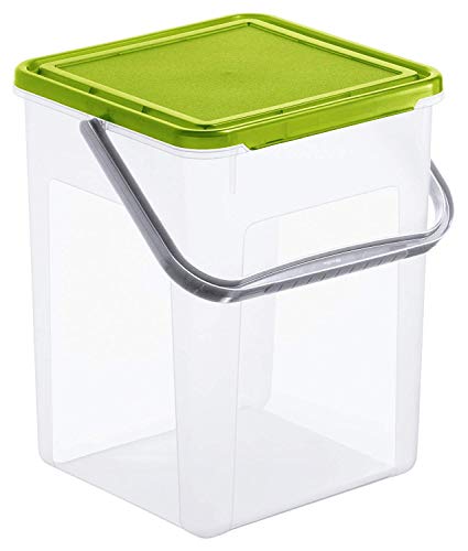 Rotho Basic, Caja de almacenamiento 9l con tapa y asa, Plástico PP sin BPA, transparente, verde, 5kg, 9l 23.0 x 22.5 x 27.0 cm