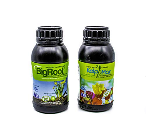 BIGROOT®+ KELPMAX®; Multi Nutricional/Aminoácidos/Enraizante- Calidad y Cuidado Integral Plantas/Flores/Cultivos. Fertilizante Especial Bio-Estimulante raíz. Ecológico (600 m2)