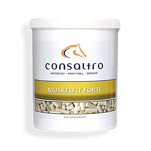 Consaltro MUSKELFIT FORTE - Desarrollado por veterinarios, fortalece las fibras musculares y promueve el desarrollo muscular, 1 kg Consaltro MUSKELFIT FORTE - Desarrollado por veterinarios, fortalece las fibras musculares y promueve el desarrollo muscular, 1 kg