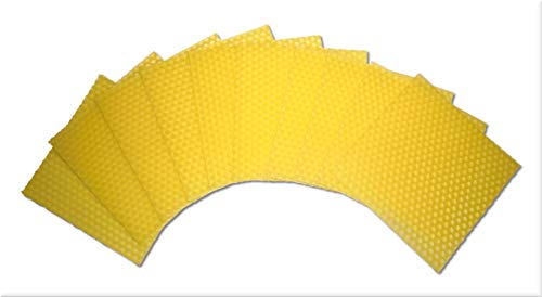 dakamilech 10 placas de cera de abeja para velas, 100 x 100 mm, color amarillo