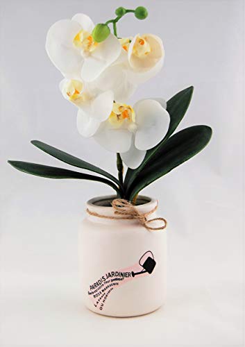 Homevibes Flores Artificiales con Maceta De Ceramica con Frase, Horquideas, Medida 10x29cm, Ideal para Decoracion del Hogar Interior o Exterior (Blanco)