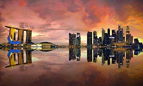 HONGXIN Placa de metal de la serie Skyline de Singapur City Skyline para decoración de bar, cafetería, hotel, oficina, dormitorio, jardín