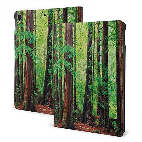 iPad 8/7 Case (10.2In, 2020/2019 Model, 8th / 7th) iPad Air3 & Pro Case Print - Tree Woodland Decor Redwood Trees Northwest Rain Forest Tropical Scenic Wild Nature Lush Branch Image Green Brown