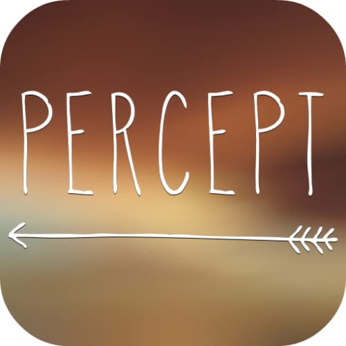 Percept - Visual Memory