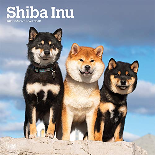 Shiba Inu 2021 Calendar