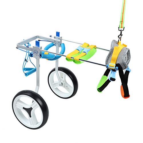 Silla de Ruedas Ajustable para Perros, aleación de Aluminio para discapacitados con Ruedas Dobles para Caminar para Mascotas para piernas traseras para Ejercicios para rehabilitación de Patas(M) Silla de Ruedas Ajustable para Perros, aleación de Aluminio para discapacitados con Ruedas Dobles para Caminar para Mascotas para piernas traseras para Ejercicios para rehabilitación de Patas(M)