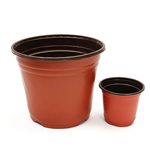 50 unids/Lote Plástico Nursery Pot Flowerpot Desktop Plant Potted Plant Herring Pots Herramienta de casa Contiene 2 Tamaños Maceta de Flores (Color : 20pcs, Sheet Size : Large)