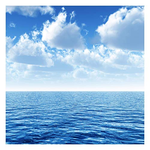 Bilderwelten Fotomural - Shining Ocean - Mural cuadrado papel pintado fotomurales murales pared papel para pared foto 3D mural pared barato decorativo, Dimensión Alto x Ancho: 192cm x 192cm Bilderwelten Fotomural - Shining Ocean - Mural cuadrado papel pintado fotomurales murales pared papel para pared foto 3D mural pared barato decorativo, Dimensión Alto x Ancho: 192cm x 192cm