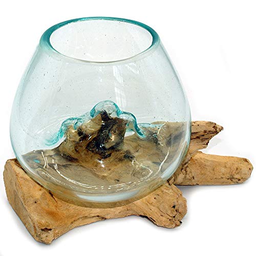 Gedeko Raíz con jarrón de cristal, redondo, diámetro aprox. 11-12 cm, jarrón de cristal sobre madera raíz (raíz 15-20 cm)