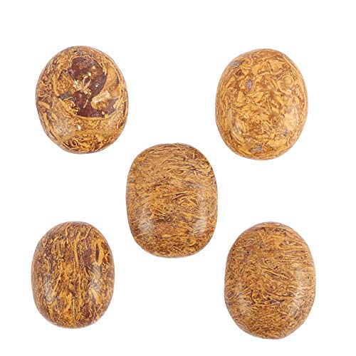 GEMHUB Jaspe Mariyam natural de 200 quilates, lote de 5 piezas, cabujón ovalado sin tratar, piedras preciosas sueltas para fabricación de joyas ASP-027