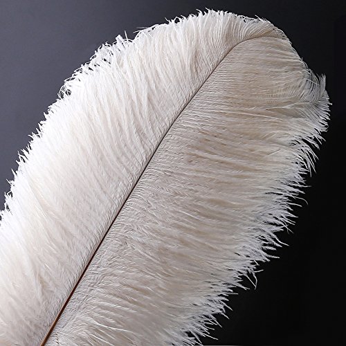 Pluma de la pluma de la avestruz natural 10pcs pluma de 12-14inch (los 30-35cm) para los centros de mesa de la boda decoración del hogar (Blanco)
