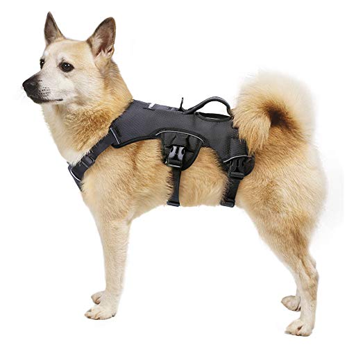 rabbitgoo Arnes Antitirones Perro Grande Mediano Ajustable con Manija de Espalda, Chaleco Acolchado Arnés para Perro Coche Lineas Reflecantes Paseo Fácil para Entrenamiento Tamaño L Negro