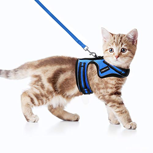 rabbitgoo Arnés para Gatos Cuerda Chaleco Ajustable Antitirones Cómodo Material fácil de Poner y Quitar para Entrenamiento Seguridad Arnes para Perro Conejos Mascotas Pequeño S Azul rabbitgoo Arnés para Gatos Cuerda Chaleco Ajustable Antitirones Cómodo Material fácil de Poner y Quitar para Entrenamiento Seguridad Arnes para Perro Conejos Mascotas Pequeño S Azul