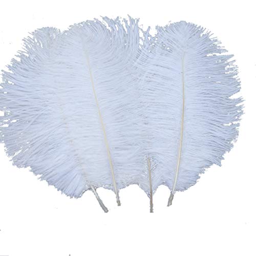 Sowder - 20 plumas de avestruz naturales de 25 a 30 cm, para centros de mesa de boda, decoración del hogar