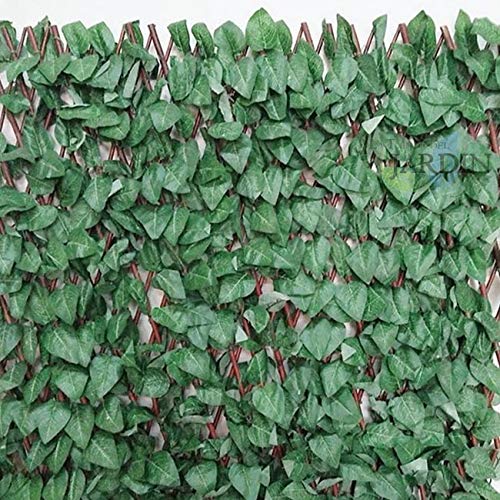 Suinga CELOSIA JARDIN de mimbre con hojas de ARCE, 1 x 2 metros