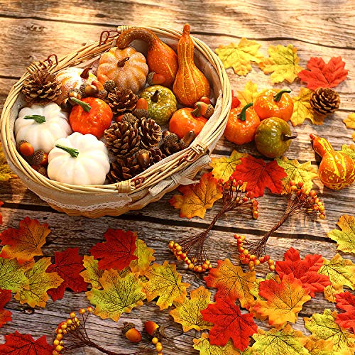 200 Piezas Mini Calabazas Artificiales de Halloween y Decoración de Calabazas Hojas de Arce Conos de Pino Bellotas Baya para Halloween Acción de Gracias Fiesta de Otoño Fiesta de Cosecha 200 Piezas Mini Calabazas Artificiales de Halloween y Decoración de Calabazas Hojas de Arce Conos de Pino Bellotas Baya para Halloween Acción de Gracias Fiesta de Otoño Fiesta de Cosecha