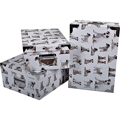 2J Caja de Almacenamiento de cartón Impreso para Perros Juego de 3 Cajas de Almacenamiento Impresas para Perros con ángulos y Asas de Metal. Tamaños: 38x26.5x14, 40x28.5x15, 42x30x16 cm