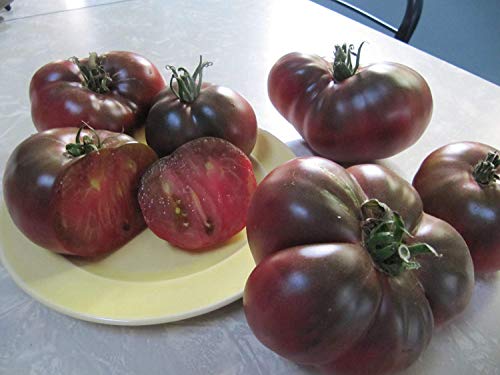 BSNKRY Cherokee Púrpura y chocolate Tomate orgánico fresco 40+ semillas de cada de 2018 BSNKRY Cherokee Púrpura y chocolate Tomate orgánico fresco 40+ semillas de cada de 2018