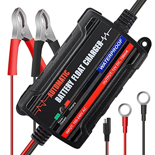 MICTUNING Cargador de Batería para Coche, 6V 12V Inteligente Cargador de Baterías Inteligente Completamente Automático para Baterías de Plomo Ácido y Gel MICTUNING Cargador de Batería para Coche, 6V 12V Inteligente Cargador de Baterías Inteligente Completamente Automático para Baterías de Plomo Ácido y Gel