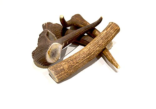 Mordedor para perros de Asta de Ciervo - Tamaño Grande (Peso min. 150g) Mordedor para perros de Asta de Ciervo - Tamaño Grande (Peso min. 150g)