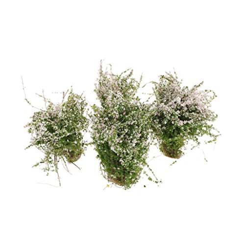 sharprepublic 4X / Pack White Ground Cover Flower Cluster Grass Modelo Mini para RR Park Toys