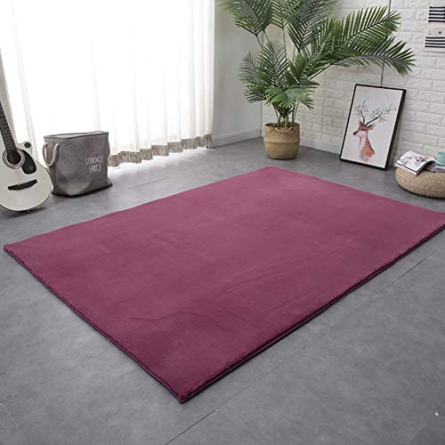 SKRCOOL Shaggy Rugs,Área Rectángulo Super Soft Touch Acogedor Pelo Largo Yoga No-resbalón No-Alfombra De Cobertizo,Disponible En 6 Tamaños-Púrpura 200x300cm