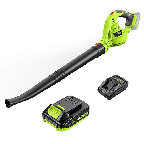 Soplador de Hojas Inalámbrico, REYLEO 20V 125 MPH Soplador de Hojas Eléctrico, 1 hora Carga Rápida, 2.0Ah Batería de litio, Liviano y de Bajo Ruido para Limpieza /Basura Pequeña /Automóvil- RLLB01D Soplador de Hojas Inalámbrico, REYLEO 20V 125 MPH Soplador de Hojas Eléctrico, 1 hora Carga Rápida, 2.0Ah Batería de litio, Liviano y de Bajo Ruido para Limpieza /Basura Pequeña /Automóvil- RLLB01D