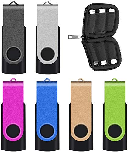 TEWENE - Juego de 6 memorias USB 2.0 de alta velocidad con bolsa, 6 unidades, 64 GB, 6 unidades