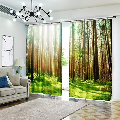 AmDxD Cortina de poliéster para ventana, 2 paneles, para dormitorio, bosque, luz del sol, césped, cortinas, 250 cm de ancho x 222 cm de alto