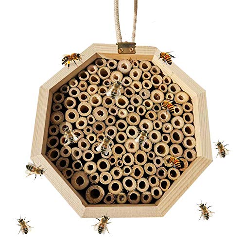 Caseta de abeja de madera, perfecta para el hogar para abejas, mariquitas, mariposas, regalos para jardineros, 15 x 15 x 9 cm, hexagonal.