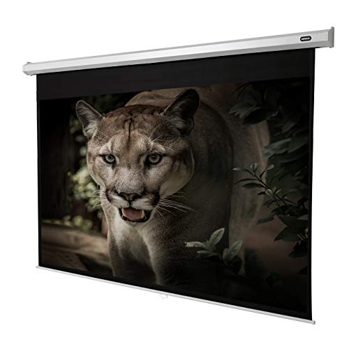 celexon manualmente Extensible Pantalla para Cine en casa y Negocios 4K y Full-HD Enrollable -Pantalla Economy - 240 x 135 cm - 108" - 16:9