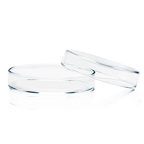 Huanyu Placas de Petri de vidrio de borosilicato de 60 mm de alto con tapas Placas de cultivo bacteriano, un paquete de 5 piezas (5 piezas: 60 mm)
