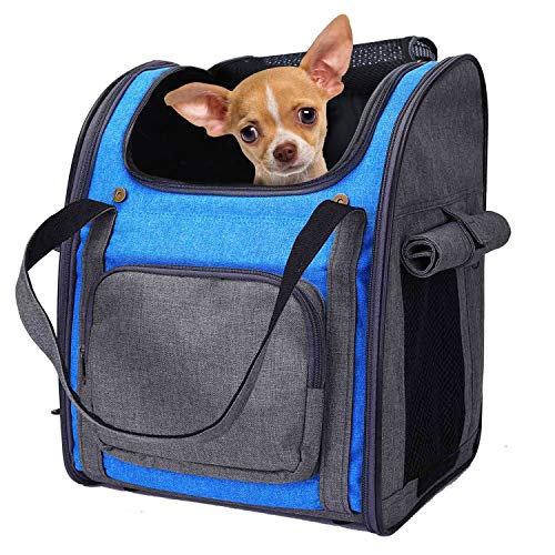 Mochila Plegable Transportin para Perro Gato Cachurro Gatito Mascota Pequeña, Transportín Portador Bolsa de Transporte Respirable Impermeable Peso de hasta 8 kg para Viaje Avión (Gris + Azul)