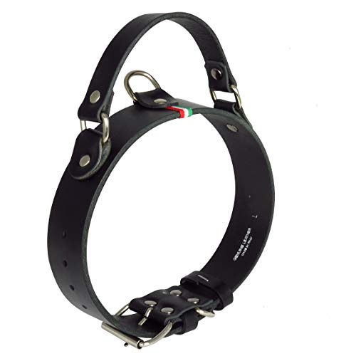 Nuevo Collar de Perro Mediano Grande con Mango (Labrador Golden Retriver Pastor alemán Bulldog Amstaff Pitbull Cachorro Adulto Joven) Cuero Resistente Real (Collar con Asa M 35-46 H3.5 cm, Negro) Nuevo Collar de Perro Mediano Grande con Mango (Labrador Golden Retriver Pastor alemán Bulldog Amstaff Pitbull Cachorro Adulto Joven) Cuero Resistente Real (Collar con Asa M 35-46 H3.5 cm, Negro)