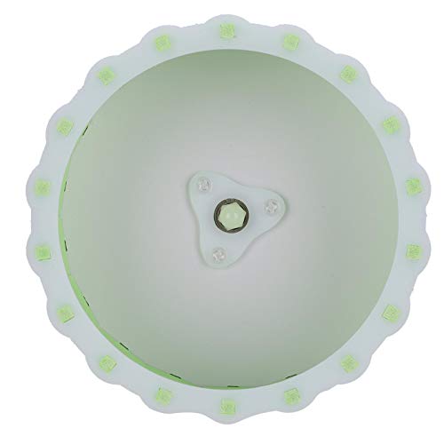 XiangXin Rueda de hámster silenciosa de 15 cm / 5,9 Pulgadas de diámetro, Rueda de Carrera de Color Brillante de 15 cm / 5,9 Pulgadas, para hámster,(Green)