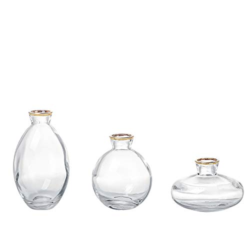 YY Juego de 3 jarrón de cristal rústico pequeño en varias formas, mini jarrón de boda, boda, centro de mesa (transparente)