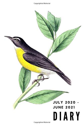 2020-21 Weekly Mid Year Diary - July 20 to June 21: Black & Yellow Bird Design | Weekly Planner Journal - Horizontal Week to View (approximately A5)