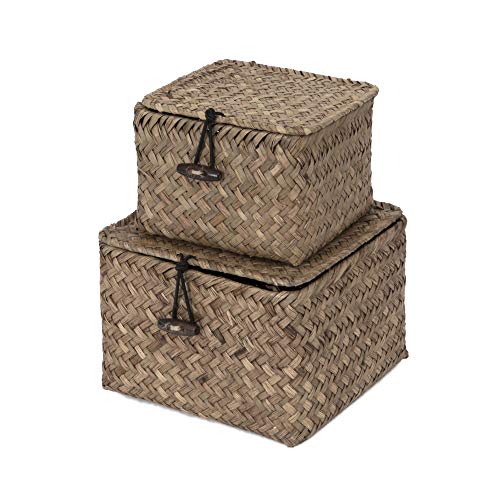 Compactor Set 2 cestas cuadradas con Tapa, Modelo Trésor, Color marrón Lavado, Tamaño, 15 x 15 x 10 cm / 12 x 12 x 8 cm, RAN7856