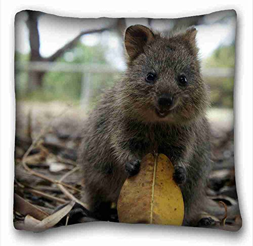 Custom ( Animal Quokka ) Pillow Cushion Case Cover One Sides Printed 16x16 Inches suitable for King-bed PC-White-2863