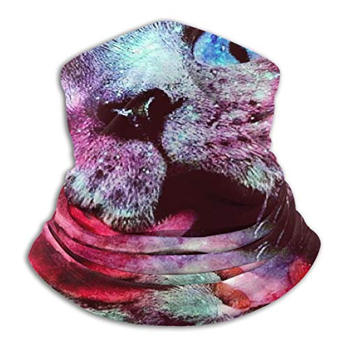 Custom made Cat, calentador de cuello de microfibra para hombre y mujer, funda elástica para la cara, media máscara, bufanda, bandana, diadema, diadema