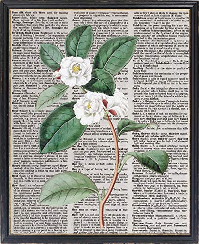 Diccionario de flores blancas para imprimir Camellia Sasanqua Botanical Vintage Illustration Instant Wall Art Print Digital Download