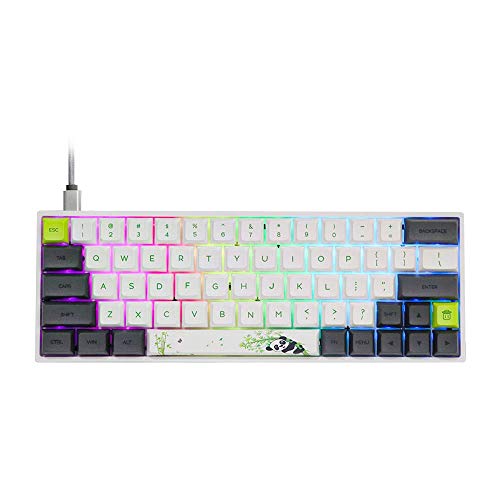 EPOMAKER SKYLOONG SK64 64 Keys Hot Swappable Mechanical Keyboard with RGB Backlit, PBT Keycaps, Arrow Keys for Win/Mac/Gaming (Gateron Optical Red, Panda)