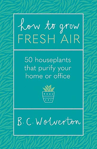 How To Grow Fresh Air: 50 Houseplants To Purify Your Home Or Office