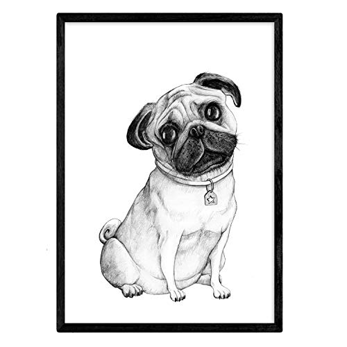 Nacnic Poster de Pug blanco. Lámina decorativa de perros. Tamaño A4 con marco