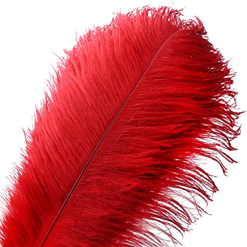Pluma de la pluma de la avestruz natural 20pcs pluma de 10-12inch (los 25-30cm) para los centros de mesa de la boda decoración del hogar (Rojo)