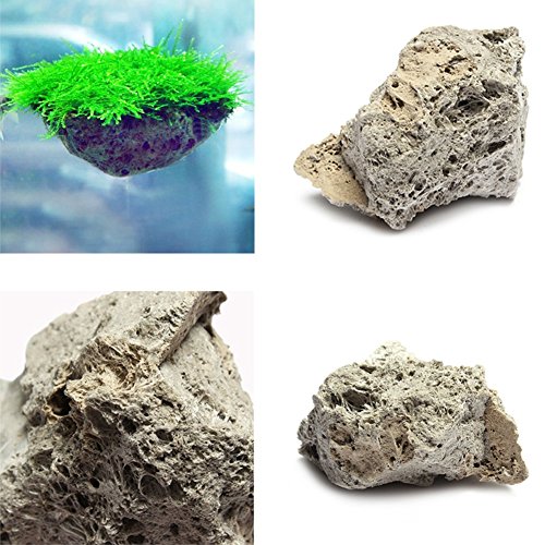 PUAK523 1 piedra pómez para acuario, pecera, piedra de musgo flotante de roca, piedra pómez natural vista decoración adorno (3 cm-5 cm)